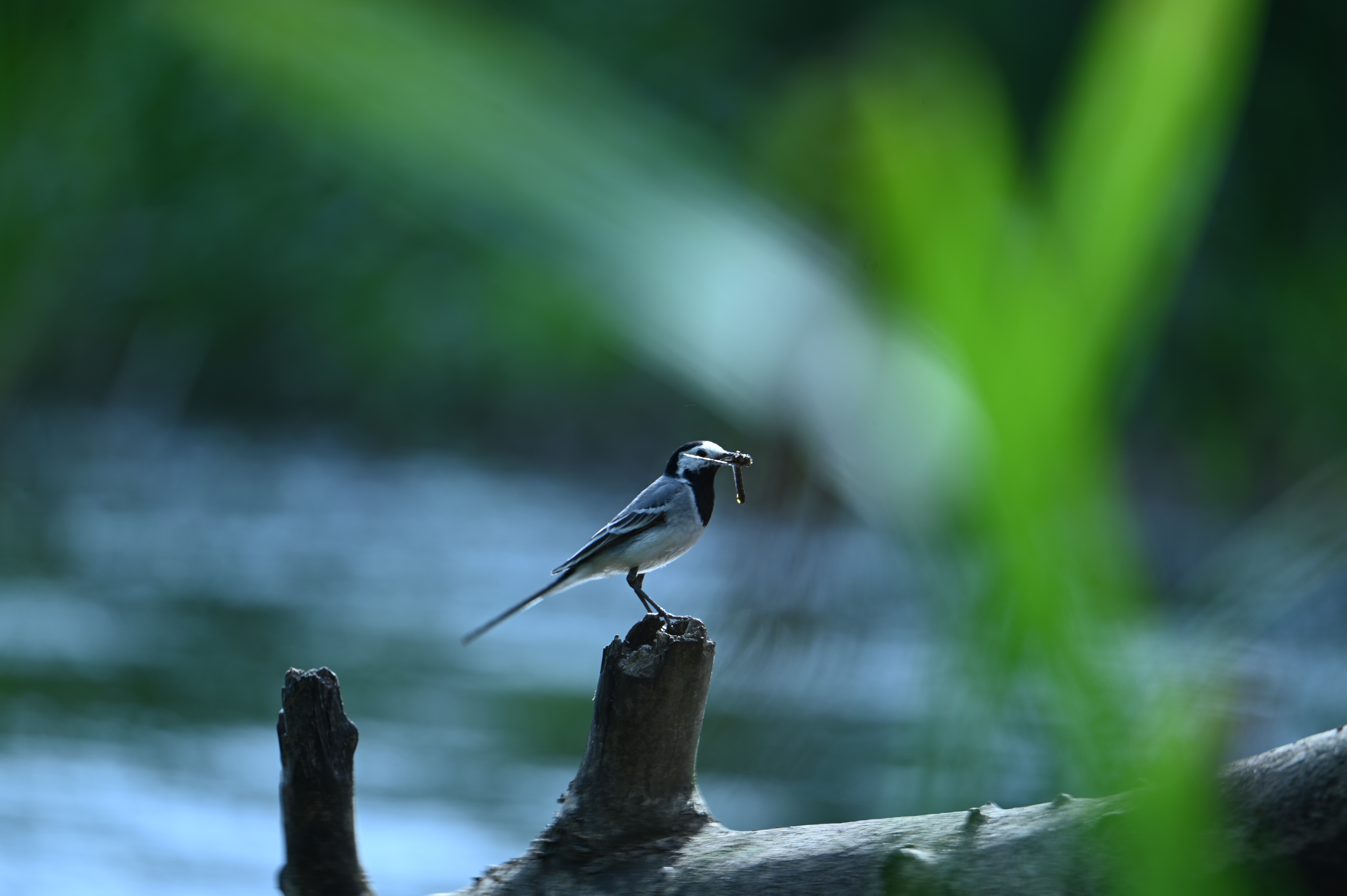 2025/07/09-14 - trip/DSC_0468.JPG